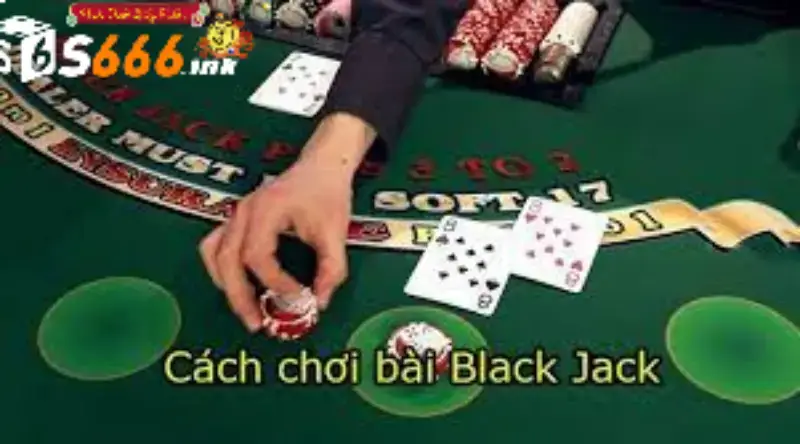 Luật chơi bài xì dách (Blackjack) cơ bản